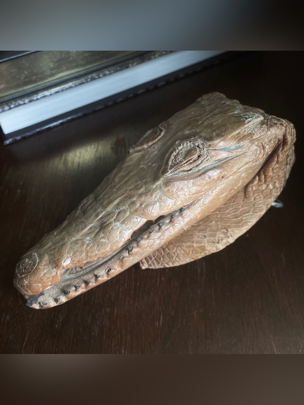 Vintage Taxidermy Baby Crocodile Belt Buckle